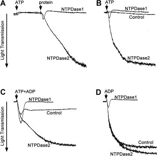 Fig. 2. Opposing effects of NTPDase1 and NTPDase2 on platelet aggregation. / PRP prepared from human donors was tested for platelet activation in the presence of exogenous nucleotides (ATP and/or ADP) and protein extracts from COS cells transfected with pcDNA3 encoding NTPDase1 or NTPDase2. Light transmittance (%) was recorded over a period of 8 (B-D) or 10 minutes (A). Protein extracts from COS cells transfected with vector DNA were added as controls at the required protein level. Representative aggregation profiles from 3 to 6 experiments are shown. (A) An arrow indicates the addition of 20 μM ATP to PRP followed 3 minutes later by the addition of 20 μg NTPDase1 or NTPDase2 protein preparation (second arrow). (B) PRP was preincubated for 25 seconds with 20 μg NTPDase1 (0.3 U ATPase) or NTPDase2 (0.1 U ATPase) protein extracts before the addition of 40 μM ATP. (C) PRP was preincubated for 25 seconds with 0.06 units of ATPase activity of NTPDase1 (4 μg) or NTPDase2 (12 μg) prior to the addition of a mixture of nucleotides (4 μM ATP plus 1 μM ADP). (D) PRP was preincubated for 25 seconds with 0.06 units of ATPase activity with either NTPDase1 (4 μg = 0.043 U ADPase) or NTPDase2 (12 μg) prior to the addition of 5 μM ADP.