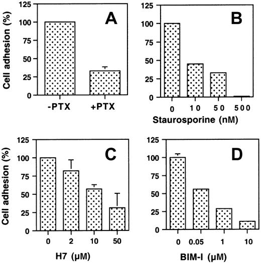 Fig. 3. Effect of PTX and PKC inhibitors on the effect of PAF in stimulating the adherence of CHO-αIIbβ3-PAFR cells to immobilized Fg. / (A) CHO-αIIbβ3-PAFR cells were incubated with 200 ng/mL PTX for 2 hours at 37°C and then stimulated with 100 nM PAF for 2 minutes. Cell adhesion to immobilized Fg at 10 minutes was measured as described in “Materials and methods.” To determine the effect of inhibiting PKC on the PAF-stimulated adhesion to immobilized Fg, cells were preincubated at 37°C with the indicated concentration of staurosporine (B) for 1 hour, H7 (C) for 45 minutes, or bisindolylmaleimide-I (BIM-I) for 30 minutes (D). The data are expressed relative to the adhesion of PAF-stimulated cells in the absence of inhibitor and are means ± SD of at least 3 experiments.
