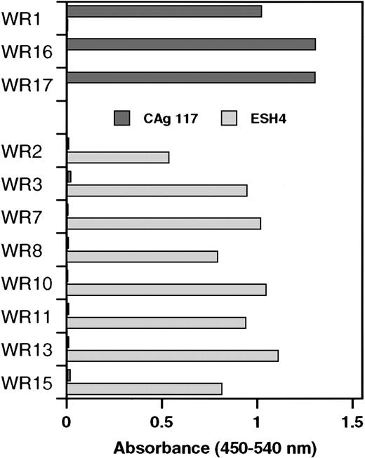 Fig. 2. Specificity of phages isolated by selection on plasma-derived factor VIII light chain for the C2 domain. / Binding of phages to recombinant C2 domain that was immobilized via monoclonal antibodies CLB-CAg 117 or ESH4 was determined by enzyme-linked immunosorbent assay. The results were corrected for binding to both antibodies in the absence of C2 domain. Clones were divided into 2 groups, DP-5 and DP88, respectively, based on the variable heavy gene segment that encodes the VHdomain.
