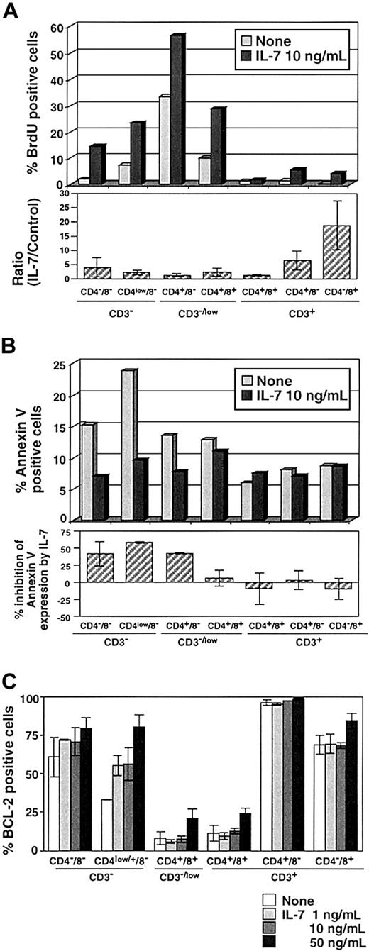 Fig. 3. Proliferation and apoptosis of thymocytes in response to IL-7. / (A) The incorporation of BrdU was measured in thymocytes in the presence (10 ng/mL) or absence of IL-7 on day 4 of TOC. Upper panel shows representative results from 5 different experiments. Ratio of IL-7 to control is shown in the lower panel. (B) The inhibition effect of IL-7 on apoptosis of thymocytes was evaluated by flow cytometry by the expression of annexin V after 4 days of TOC. Upper panel shows the representative result from 5 different experiments. Lower panel shows the percent inhibition of annexin V expression by IL-7 to control TOC. BCL-2 expression was evaluated in TOC with 1, 10, and 50 ng/mL IL-7. Data are expressed as mean value ± SD in triplicate.