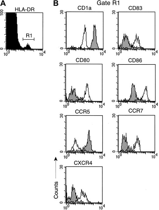 Fig. 1. LCs from monkeys with AIDS undergo normal maturation in vitro. / Single-cell suspensions were generated from skin of a monkey with AIDS and labeled with mAb before and after 48 hours of culture with CD40L (3 μg/mL). (A) Cells were gated for expression of HLA-DR to identify LCs (R1). (B) Expression of surface antigens on freshly isolated LCs (closed histograms) and cultured LCs (open histograms). Representative histograms of 3 separate experiments using different animals are shown. Similar results were obtained with samples from healthy monkeys and monkeys with acute SIV infection.