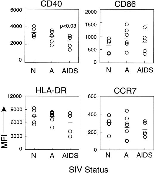 Fig. 5. IDCs from lymph nodes of monkeys with AIDS have reduced expression of CD40. / Lymph node cell suspensions from normal, healthy animals (N, n = 5) and monkeys with acute SIV infection (A, n = 7) or AIDS (n = 5) were labeled and gated on expression of CD83 and lack of CD20 to identify IDCs, and the mean fluorescence intensity (MFI) of a panel of cell surface markers was determined. CD40 expression on IDCs from monkeys with AIDS is reduced as compared to normal animals (P < .03). Each circle represents a different animal, and horizontal bars represent the mean.