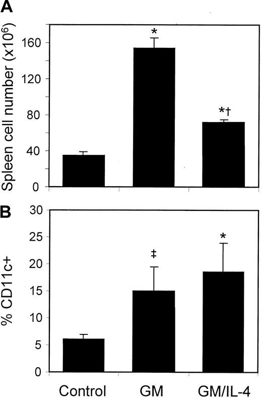 Fig. 1. Continuous infusion of rGM-CSF alone, or in combination with rIL-4, increased spleen cellularity and the percentage of CD11c+ DCs. / C57BL/6 mice were treated for 7 days with rGM-CSF (GM, 10 μg/d) or the combination of rGM-CSF and rIL-4 (GM/IL-4, 10 μg each per day) by subcutaneous osmotic pump. (A) Total number of viable splenic leukocytes was determined by hemocytometer count on day 7. Treatment with GM alone produced an average 4.4-fold increase in cell number, whereas combination rGM/rIL-4 produced an average 2.0-fold increase in cellularity. Values represent mean ± SE of 3 experiments. (B) Single-cell spleen suspensions were stained with anti-CD11c-FITC mAbs, and the effects of cytokine treatment on the percentage of CD11c+ DC were determined by FACS analysis. Three percent to 7% of control cells expressed CD11c, whereas 6% to 22% of cells from GM-treated mice expressed CD11c and 8% to 25% of cells from rGM/rIL-4–treated mice expressed CD11c. Values represent mean ± SE of 3 experiments. *P ≤ .05 compared with control; †P ≤ .05 compared with GM; ‡P ≤ .1 compared with control.