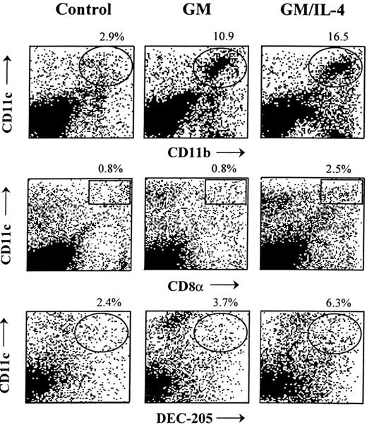 Fig. 2. rGM-CSF and rGM-CSF/rIL-4 increased the percentage of myeloid DCs (CD11c+/CD11b+) in spleen, but only rGMCSF/rIL-4 increased the percentage of lymphoid DCs (CD11c+/CD8α+). / Mice were treated with rGM-CSF (GM) or the combination of rGM-CSF/rIL-4 (GM/IL-4), as described for Figure 1. Spleen cells were isolated on day 7, and FACS analysis was performed to determine the percentage of total spleen cells expressing either a myeloid DC phenotype (upper panel, stained with CD11b-PE and CD11c-FITC) or a lymphoid phenotype (middle panel, stained with CD8α-PerCP and CD11c-FITC). The percentage of cells expressing DEC-205, another lymphoid DC marker, were also determined (lower panel, stained with CD11c-PE and DEC-205-FITC). The percentage of double-stained cells for each marker set are identified. Results are from a single representative experiment (n > 20).