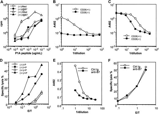 Fig. 3. Functional characterization of the CD28+/−and CD28−/− P1CTL. / (A) Proliferative response of transgenic spleen cells to varying concentrations of the P1A peptide was measured by pulsing the culture for 6 hours with 3H-TdR, starting at 42 hours of culture. A mixture of anti–B7-1 and anti–B7-2 (1 μg/mL) mAbs was added at the beginning of the culture. Data presented are means and SE of triplicates of cpm. (B, C) Role of CD28 in production of cytokines, IL-2 (B) and IFN-γ (C) in response to antigenic P1A peptide (0.1 μg/mL). Cytokines released into the supernatants at 48 hours after antigenic stimulation were measured by sandwich ELISA. (D) Cytotoxicity of activated CD28+/− and CD28−/− P1CTL. Spleen cells activated in vitro for 4 days were used as the effectors, whereas the macrophage cell line P388D1, pulsed with (+P) or without (−P) P1A peptide (1 μg/mL) was used as the target. (E) Anti-B7 mAbs inhibit IFN-γ production by CD28−/− P1CTL, as detailed in panel C, except that anti–B7-1 and anti–B7-2 mAbs (10 μg/mL) were added into the culture. (F) Anti-B7 mAbs (added before the addition of effector T cells and present during CTL assay only) did not inhibit the cytolysis of P1A peptide–pulsed P388D1 target cells by P1CTL. Data shown are representative of at least 2 independent experiments.