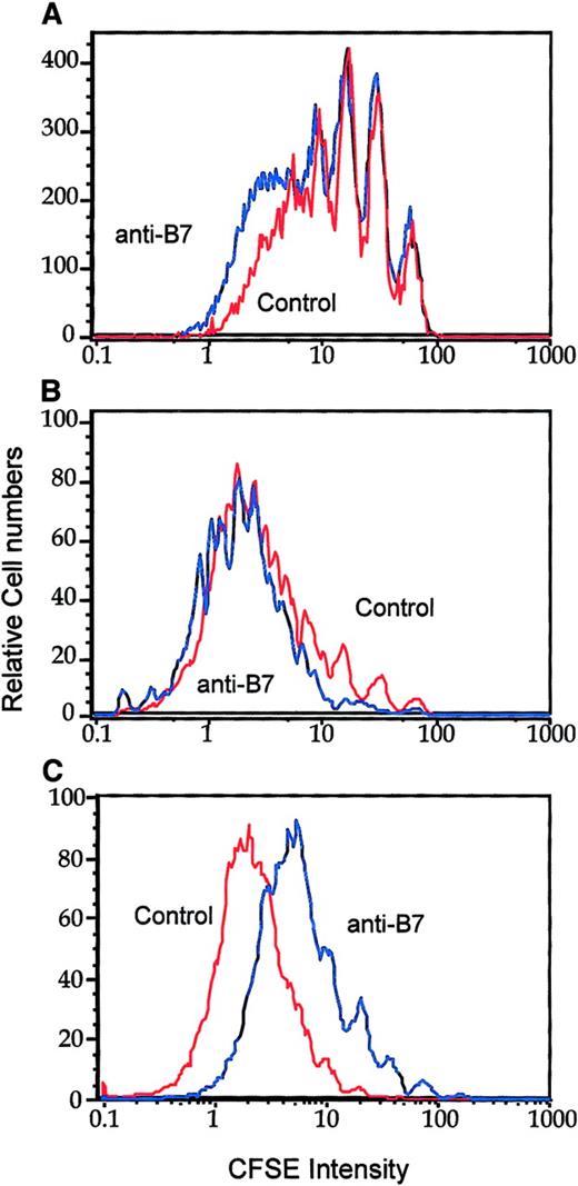 Fig. 5. B7-CTLA4 interaction does not contribute to T-cell proliferation in vivo. / CD28+/+ or CD28−/− P1CTL were labeled with CFSE and injected into mice that had J558-Neo tumors. On days 0, 1, and 2, the tumor-bearing mice were injected with a mixture of either control rat/hamster immunoglobulin or anti–B7-1 and anti–B7-2 mAbs intraperitoneally (100 μg/antibody per mouse per injection). On day 3, spleen (A, C) or tumor (B) cells were harvested and analyzed. (A) Effect of anti-B7 mAb on the division of CD28−/− P1CTL accumulated in the spleen. (B) Effect of anti-B7 mAb on the division of tumor-infiltrating P1CTL. (C) Anti-B7 mAb blocks the division of CD28+/+ T cells. Data shown were CFSE intensity of gated Vα8+ T cells, as measured by flow cytometry, and were analyzed by Flowjo software, as detailed in legend to Figure 1. Five thousand gated P1CTL cells were analyzed. Data shown are representative of 3 independent experiments.