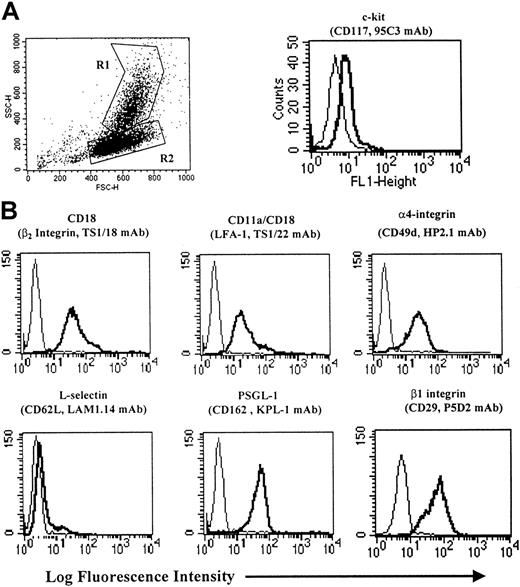 Fig. 1. Cytofluorographic phenotype of PrMCs. / (A) Flow cytometric analysis of in vitro–derived PrMCs and MCs was carried out as previously detailed24 to assess FSC and SSC as well as surface expression of c-kit. By light scatter, the PrMCs are identified as R2 and MCs as R1. The heavy line in the c-kit histogram identifies the low SSC population (PrMCs) and the thin line identifies the IgG control mAb. (B) Surface expression of various Ag on column-purified CD14− PrMCs. The mAbs used are identified in “Materials and methods.” The depicted results are representative of the 2 experiments performed.