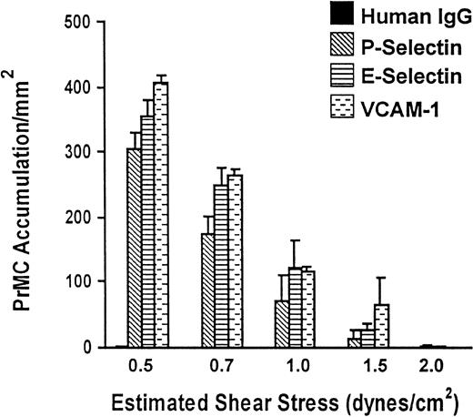 Fig. 2. PrMC adhesion to immobilized P-selectin, E-selectin, and VCAM-1 under defined flow conditions. / Coverslips containing human recombinant E-selectin, P-selectin, or VCAM-1 at saturating concentrations were prepared and PrMCs (5 × 105/mL in perfusion buffer) were drawn through the flow chamber at various flow rates (resulting in estimated fluid shear stresses) for 3 minutes, as detailed in “Materials and methods.” Studies were initiated at 2.0 dynes/cm2 and subsequently the flow rate reduced to 1.5 dynes/cm2, 1.0 dynes/cm2, 0.7 dynes/cm2, and finally to 0.5 dynes/cm2 every 3 minutes. PrMC adhesion was determined at the end of each flow rate and reflects accumulation of adherent and rolling over time during the range of shear stress examined. The data represent mean ± SD from 2 separate experiments.