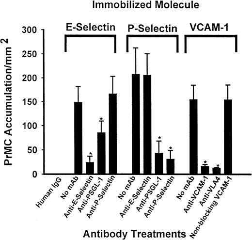 Fig. 3. mAb inhibition of PrMC adhesion to immobilized adhesion molecules. / PrMCs (5 × 105/mL) were preincubated for 15 minutes at RT with blocking mAbs to α4-integrin (HP2/1) or PSGL-1 (KLP-1) or media alone and drawn across coverslips containing saturating concentrations of immobilized P-selectin, E-selectin, or VCAM-1 that had been incubated with media containing saturating concentrations of appropriate blocking or control mAb, or media alone. PrMC adhesion was assessed as described in “Materials and methods.” Data are mean ± SD from 3 separate experiments. The asterisk indicates a value statistically significant from media alone for each molecule tested (P < .05 unpaired ttest).