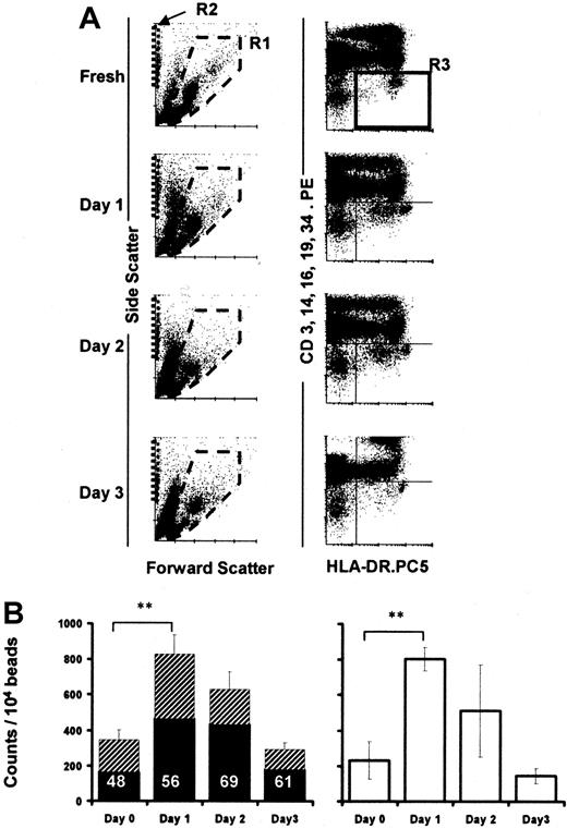 Fig. 2. TruCOUNT analysis of absolute DC numbers in cultured PBMCs. / Dot plots demonstrate the forward and side scatter profiles of cultured PBMCs (A, left column). PBMCs were gated in R1, TruCOUNT beads in R2 (A, left column), and Lin− HLA-DR+ DCs in R3 (A, right column). Absolute DC numbers were calculated as the mean of triplicate determined by the number of Lin−HLA-DR+ events per 10 000 TruCOUNT beads acquired for each time point (n = 8, B, left). The filled and hatched portions of the bars represent the proportion of Lin− HLA-DRloand Lin− HLA-DRhi cells in R3, respectively. The proportion of Lin− HLA-DRlo cells is shown as percentage of total DCs. PBMCs were irradiated (3000 Gy) before culture (n = 3, B, right). Error bars show SEM. (**,P < .001).