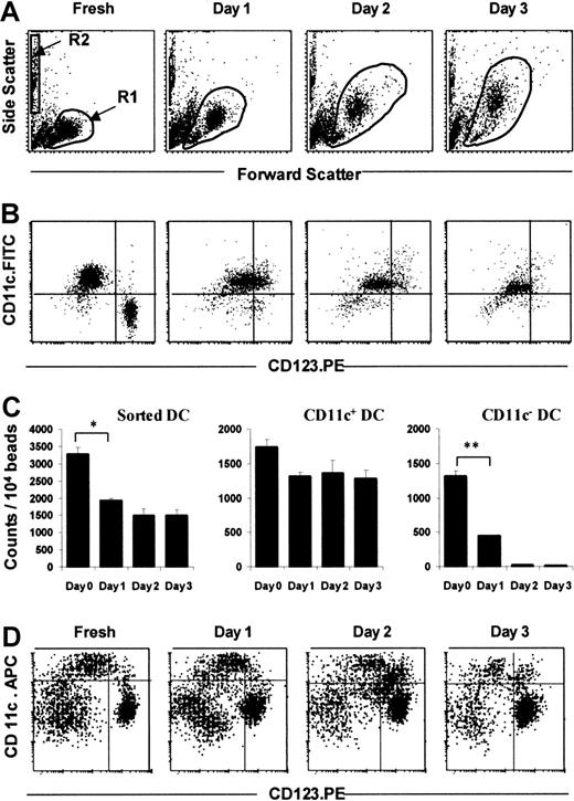 Fig. 3. TruCOUNT analysis of sorted DCs in culture with GM-CSF and IL-3. / Dot plots demonstrate the forward and side scatter profiles of sorted DCs in culture supplemented with GM-CSF and IL-3 (A). Sorted Lin− cells were gated in R1, and TruCOUNT beads in R2 (A). After gating for HLA-DR expression (R3, not shown), Lin−HLA-DR+ DCs were analyzed for their subset composition according to their expression of CD11c and CD123 (B). Absolute DC counts were calculated as the number of Lin−HLA-DR+ cells per 10 000 TruCOUNT beads acquired (mean of triplicate, C, left). The absolute counts for DC subsets were calculated in similar fashion, based on the expression of CD11c (C, middle and right). This pattern is representative of 4 separate experiments. For comparison, dot plots of a 4-color immunofluorescent FACS analysis of cultured PBMCs (Lin.FITC, HLA-DR.PE-Cyanin5) demonstrated the persistence of both the CD11c+ and, more strikingly, the CD123+ DC subsets after 3 days of culture (D). Error bars show SEM. (*, P < .05; **,P < .001).