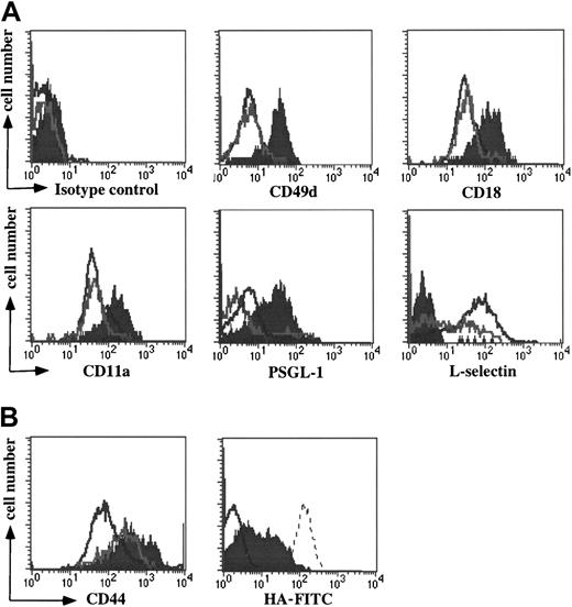 Fig. 5. Up-regulation of leukocyte adhesion molecules by plasma cells. / (A) Three-color flow cytometry analysis of the E/P−/−cervical lymph node B-cell populations (Figure 1) shows the relative expression of CD49d (α4), CD18 and CD11a (LFA-1), PSGL-1, L-selectin, and an isotype control antibody. The populations are as in Figure 1. A representative experiment of 6 is shown. (B) On the left the relative expression of CD44 on the 3 B-cell populations is shown. On the right a subset of purified plasma cells bind HA-FITC. A representative experiment of 8 is shown. HA-FITC staining is depicted on purified plasma cells (filled) versus the entire B-cell compartment (CD5−, Mac-1−; negative control, gray line). For the experiment shown, plasma cells constituted a small fraction of the entire B-cell compartment. An HA-binding T cell line, BW5147, was used as a positive control (dotted line).