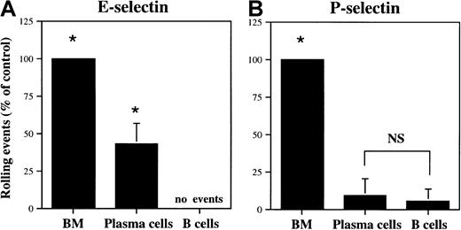 Fig. 7. Plasma cells interact selectively with E-selectin. / Plasma cells and IgM+ B cells were analyzed for interactions with E-selectin (A) or P-selectin (B) transfected CHO cells in a parallel plate flow chamber, as described in “Materials and methods.” The data are represented as a mean percent control interactions ± SD (n = 3), with wild-type bone marrow cells serving as positive control. Asterisk indicates statistically different (P < .05) from IgM+ B cells; NS, not statistically different.
