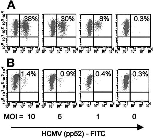 Fig. 3. LPS-matured DCs are relatively resistant to infection. / The effect of LPS-induced DC maturation on the infection rate of DCs by HCMV was studied by FACS analysis. DCs were generated in the presence of GM-CSF and IL-4. On day 5 of the culture the cells were either left untreated (A) or LPS was added in the presence of IFN-γ and TNF-α. After 24 hours the cells were infected with decreasing amounts of infectious HCMVTB40/E (MOI = 10, 5, 1, and 0) for 48 hours. Immunofluorescent labeling of DCs in each group was carried out, first with CyChrome-conjugated HLA class II antibody (MFI shown on Y axis), followed by intracellular staining of fixed and permeabilized cells with FITC-conjugated HCMV pp52 antigen, as described in “Patients, materials, and methods.” The numbers in the upper right quadrants represent HCMV Ag-positive, HLA class II positive cells. A representative of 3 repeated experiments is shown.