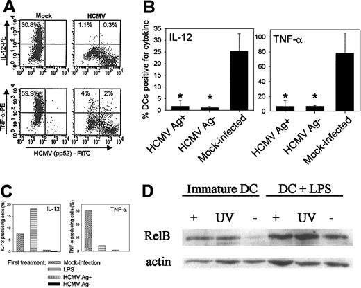 Fig. 5. HCMV-infected DCs are refractory to produce IL-12 or TNF-α when stimulated with LPS or CD40L. / Cytokine production by mock-infected or HCMVTB40/E-infected DCs upon stimulation with LPS or CD40L was measured by FACS analysis. (A) A representative experiment showing IL-12 and TNF-α production by DCs upon stimulation with LPS. DCs were either mock infected (first panel) or were infected with HCMVTB40/E (MOI = 10) for 48 hours and then stimulated with LPS/IFN-γ/TNF-α for 22 hours in the presence of GolgiPlug for the last 19 hours. The Y axis represents the MFI of IL-12 or TNF-α and the X axis shows the MFI of the HCMV pp52-specific antibody. The numbers express the proportion of cytokine-producing cells. (B) The summary of 3 experiments, showing the mean and standard deviation of cytokine-producing mock-infected and HCMV-infected (Ag-positive or Ag-negative) DCs following LPS stimulation. Significant differences to the mock-infected control are indicated as *P < .05. (C) IL-12 and TNF-α production by DCs following stimulation with CD40L. Mock-infected DCs were either left unstimulated or were prestimulated with LPS/IFN-γ/TNF-α. One group of DCs was infected with HCMVTB40/E (MOI = 10 PFU/cell) for 48 hours. DCs were then stimulated with CD40L-expressing fibroblasts at DC/Fb ratio = 10:1 in the presence of IFN-γ (100 ng/mL) for 22 hours. GolgiPlug was added for the last 21 hours of the incubation. The results are expressed as percent of DCs positive for the studied cytokine. A representative of 2 similar experiments is shown. (D) HCMV induces up-regulation of nuclear NF-κB in DCs. Immunoblotting of nuclear NF-κB proteins is shown from DCs following HCMV infection. DCs on day 5 of culture in GM-CSF and IL-4 were either mock infected (-), infected with HCMV (MOI = 10) (+), or UV-inactivated virus was added (UV) for 24 hours. DCs were then either treated with LPS/IFN-γ/TNF-α (right panel, +LPS) for 24 hours or were left untreated (left panel, immature DCs). Nuclear extracts were analyzed for RelB expression by separation of the proteins on a 10% SDS-PAGE gel followed by electrotransfer to PVDF membranes and incubation with polyclonal antibodies against RelB and actin.