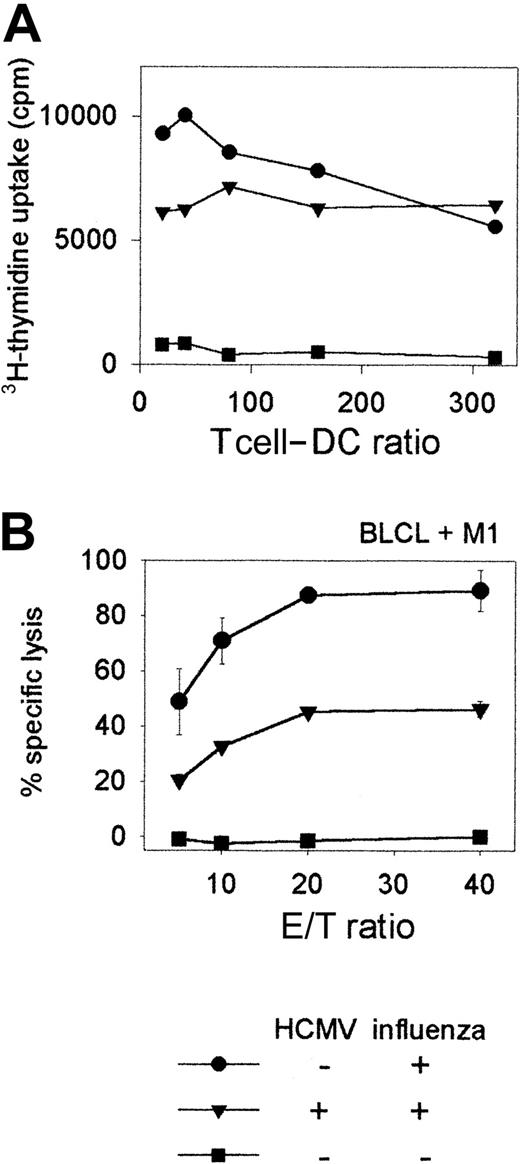 Fig. 6. T-cell proliferation and cytotoxicity are impaired following stimulation with HCMV-infected DCs. / (A) Influenza virus–specific T-cell proliferation is shown following stimulation of T cells with HCMV-infected DCs. 105 T cells per well were stimulated at different T cell–DC ratios either with HCMV-infected or mock-infected DCs which were also infected with influenza as described in “Patients, materials, and methods.” T-cell proliferation was measured by adding 3H-thymidine to the cells in the last 16 hours of a 5-day in vitro culture. Means of3H-thymidine uptake (cpm) are shown from triplicate wells. (B) Influenza virus–specific T-cell cytotoxicity is shown using HCMV-infected or mock-infected DCs as stimulators. Immature DCs (day 7) from an HCMV-seronegative HLA-A2+ donor were either infected with HCMVTB40/E (MOI = 10) (▴) or were mock infected (●) for 48 hours and then both groups of DCs were incubated with influenza virus for 6 hours prior to adding them to autologous T cells (T cell–DC ratio = 10:1) in bulk cultures, as described in “Patients, materials, and methods.” Mock-infected DCs (■) to which influenza virus was not added served as controls to detect nonspecific T-cell stimulation. CTL assay was carried out 7 days later against influenza M1 peptide-pulsed autologous BLCL target cells or unpulsed target cells. Lysis of unpulsed targets was significantly lower by each group of T cells than that of peptide-pulsed targets, and is not shown. Means and standard deviations of percentage specific lysis from triplicate wells are shown.