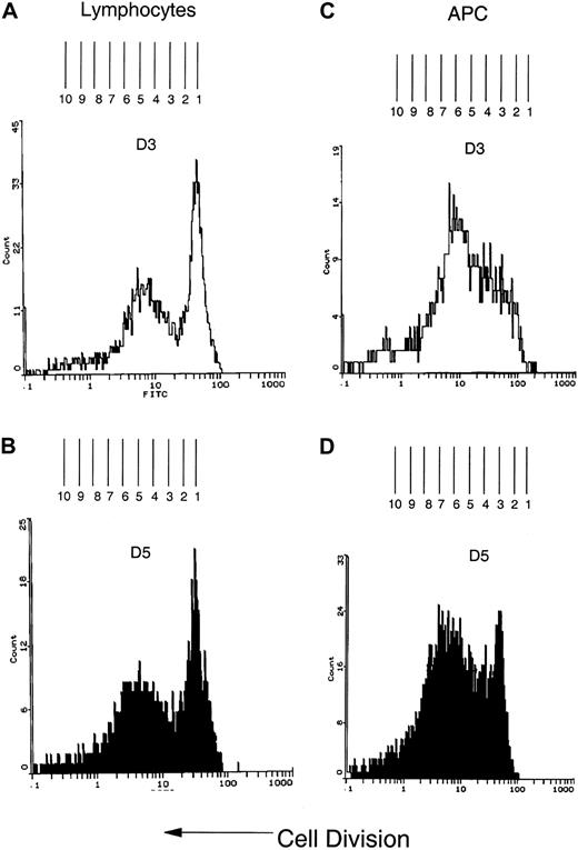 Fig. 3. CFSE staining demonstrates multiple rounds of proliferation in both the lymphocyte and APC populations of the cocultivated cells. / (A) Three days after CFSE staining, the lymphoblast population was identified by flow cytometry scatter parameters. The lymphoblast population was biphasic with the majority of cells undergoing slower replication and a subset of cells that demonstrated a higher rate of proliferation. To determine the number of divisions, the fluorescence histogram was overlaid on a grid so that the center of each peak was equidistant from the next peak and represented one cycle of cell division. The number of divisions was determined by counting the number of peaks. (B) The change in fluorescence intensity was measured by determining the distance between the initial peak on day 3 and the shift in fluorescent intensity of equidistant peaks observed on day 5. The fluorescence shift indicates that 8 rounds of cell division have occurred by day 5. (C) The APC population was identified by flow cytometry light scatter parameters and the replication rate determined as described in panel A. (D) By 5 days, the CFSE staining curve has shifted to the left and at least 8 peaks of cell division are present, demonstrating a doubling time, which is equivalent to that found in the cocultured lymphocytes, of approximately 15 hours.