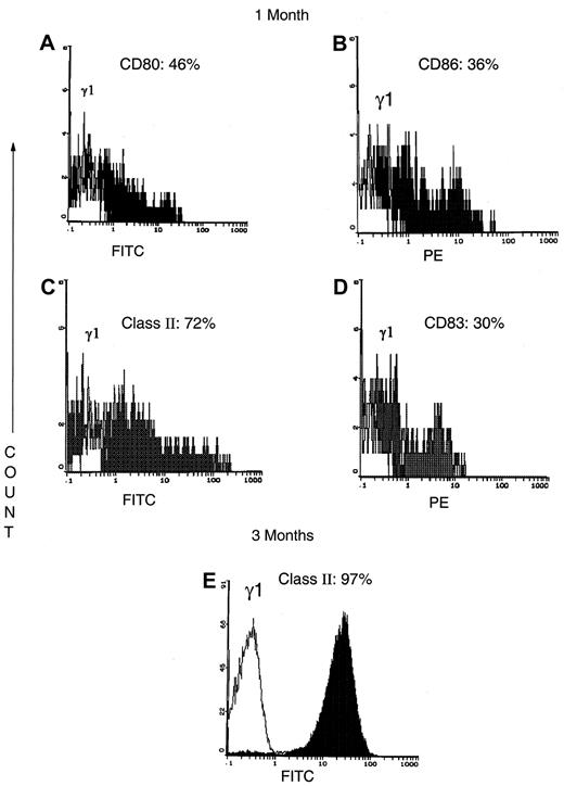 Fig. 4. Flow cytometry phenotype of the APC at 1 and 3 months of culture. / (A-D) At 1 month of culture, the APCs from a representative CTCL patient are a mixture of immature APCs that express costimulatory molecules CD80 (A) and CD86 (B); class II MHC molecules (C); and mature DC that express CD83 (D). (E) By 3 months of culture, the majority of the APCs from a representative patient express higher levels of class II MHC molecules.