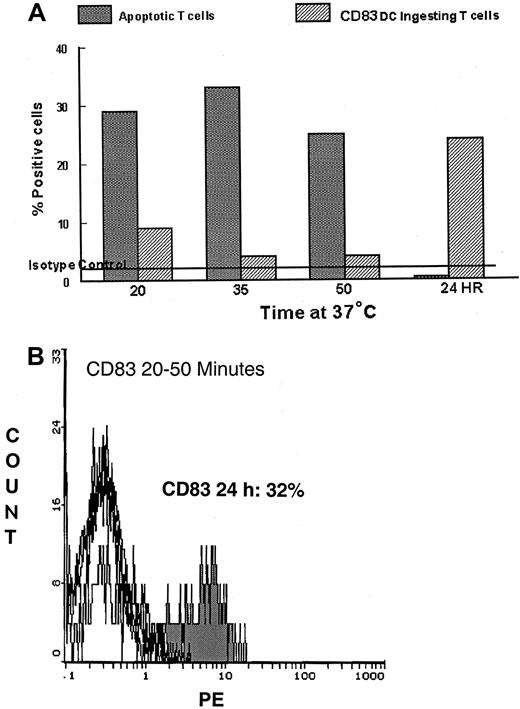 Fig. 9. CD3 mediates apoptosis of CTCL cells that are ingested by the APC, resulting in maturation to CD83+ DCs. / (A) Two-color cytofluorimetry of sequential samples obtained from the cocultured cells at 20 minutes after the addition of CD3 antibody demonstrate that 30% of the CTCL cells have become apoptotic as determined by their coexpression of CD3 (detected with a secondary antimouse antibody conjugated to FITC) and APO-PE (a marker of early apoptotic cells). Apoptosis of the CTCL cells increases at 35 minutes and begins to decline by 50 minutes. The number of DCs containing apoptotic material from the CTCL cells increased from 10% at 20 minutes to 30% of the APCs after overnight incubation, demonstrating maturation of the APC driven by phagocytosis of apoptotic tumor cells. (B) Immunofluorescent staining of sequential specimens from the CD3-treated cocultures demonstrates that DC maturation as measured by CD83 expression increases after overnight incubation with the apoptotic CTCL cells, as measured by flow cytometry.