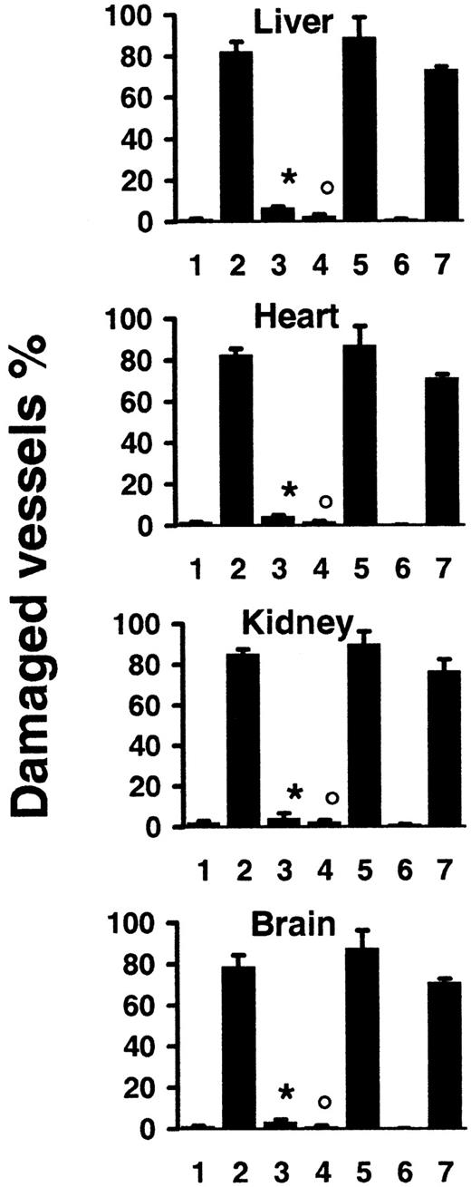 Fig. 4. Quantification of vascular lesions induced by systemic allogeneic immune responses. / SCID recipient mice were killed 2 days after transfer of 108 lymphocytes from syngeneic wt mice (1) (n = 4), or from allogeneic wt mice in the absence (2) (n = 9) or presence of recipient treatment with caspase-8 inhibitor (3) (n = 4), or after transfer of 108 lymphocytes from allogeneicgld mice (4) (n = 4), or from allogeneic lprmice (5) (n = 4); SCID recipients were killed 14 days after transfer of 2.5 × 107 lymphocytes from syngeneic (6) (n = 4) or allogeneic wt mice (7) (n = 5). Percentages are mean ± SD of 2 independent counts on tissue sections from liver, heart, kidneys, and brain of (n) different mice, as described in “Materials and methods.” *P < .007 compared to 2; °P < .007 compared to 2 and 5 (Wilcoxon test).