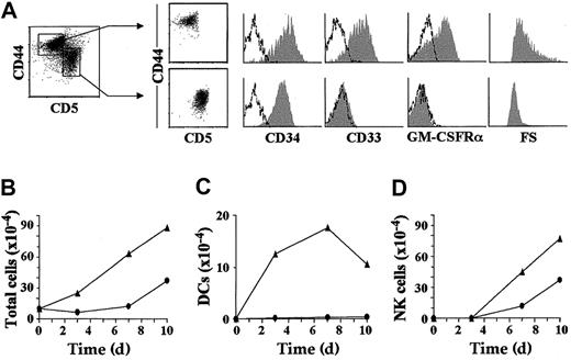 Fig. 2. Characterization of the NK cell and DC potential of 2 separate intermediate CD34lo precursors, CD44hi or CD44lo, derived from the earliest intrathymic progenitors. / (A) Representative cell size (forward scatter, FS) and flow cytometry profile (shaded monoparametric histograms) of sorted CD44hi (CD5lo) and CD44lo(CD5+) intermediate CD34lo progenitors (biparametric plots) derived by day 3.5 from CD34hiCD33lo precursors set up in multicytokine-supported cultures. Background fluorescence determined with isotype-matched irrelevant MoAbs is shown (unshaded histograms). Absolute numbers of total viable cells (B), DCs (CD7loCD13+CD1a+) (C), and NK cells (CD7++CD13−CD56+) (D) recovered from either CD44hi (▴) or CD44lo (●) intermediate CD34lo progenitors derived in vitro and sorted as shown in (A), upon reculture in IL-2–supplemented multicytokine-supported conditions. Absolute numbers are referred to 105 input progenitors. Results are presented as the mean of 5 independent experiments.