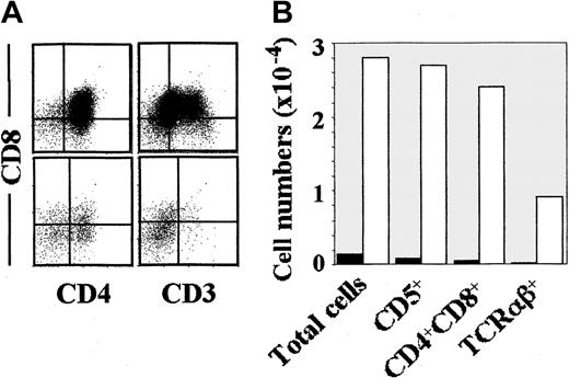 Fig. 3. Characterization of the T-cell potential of 2 separate intermediate CD34lo precursors, CD44hi or CD44lo, derived from the earliest intrathymic progenitors. / Phenotypic analysis (A) of the cellular progeny generated in hu/moFTOC from CD44lo (upper histograms) or CD44hi (lower histograms) in vitro–derived CD34lo progenitors obtained as described in Figure 2A. Absolute cell numbers (B) of the indicated populations recovered per thymic lobe after 17 days of reconstitution with either CD44lo (empty bars) or CD44hi (filled bars) CD34lo progenitors (2 × 104/lobe).