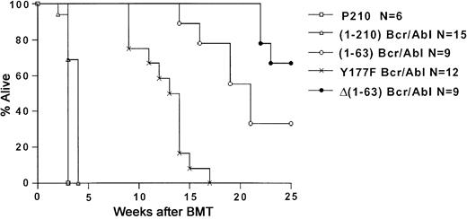 Fig. 3. Kaplan-Meier–style survival curves for lethally irradiated recipients receiving BM cells transduced with the indicated bcr/abl cDNA. / The number of analyzed mice (N) is shown in the figure. Mice receiving MigR1-transduced BM cells were healthy for more than 300 days (not shown). Of the surviving Δ(1-63) bcr/abl mice, 2 mice have been followed for longer than 25 weeks (30 and 40 weeks, respectively).