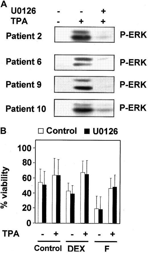Fig. 4. Inhibition of MEK/ERK-pathway did not affect the protective effect of TPA. / (A) B-CLL cells from 4 representative patients were incubated with or without 1 μM U0126 for 1 hour before the addition of 10 nM TPA for 20 minutes. ERK phosphorylation was analyzed by Western blot. (B) B-CLL cells were incubated for 1 hour in the presence (▪) or absence (■) of 1 μM U0126. After that time, drugs were added to the culture, and incubation continued for another 48 hours. At the end of the culture, cell viability was analyzed by flow cytometry. Results are represented as the mean ± SD of 7 patients analyzed.
