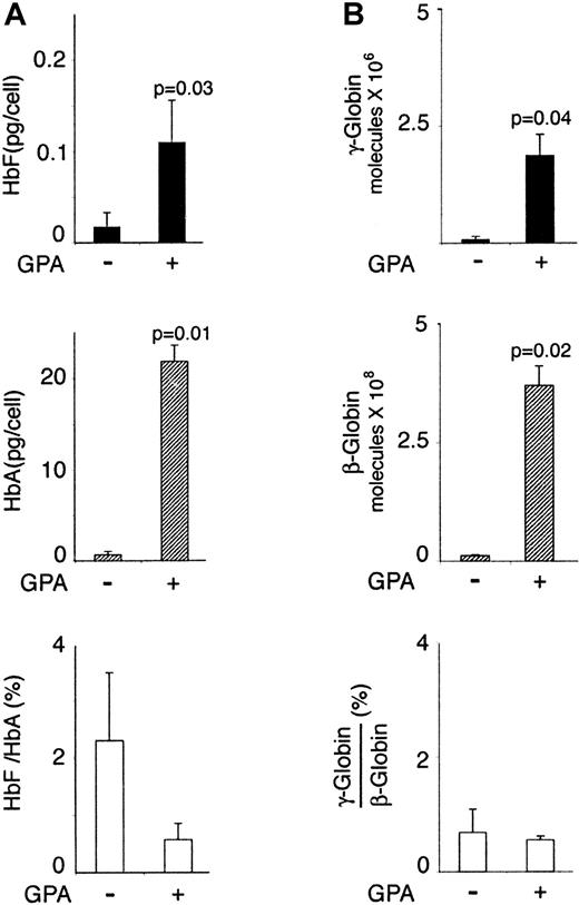 Fig. 6. HbF and HbA in bone marrow erythropoiesis. / HbA and HbF (left panel) and mRNA (right panel) content during erythropoiesis in vivo. Bone marrow mononuclear cells from 3 healthy adults were labeled and sorted in the independent experiments as shown on Figure 5. CD71+GPA− cells versus CD71+GPA+ were compared with respect to HbF and HbA protein content (A) (HPLC measurements), and γ-globin mRNA and β-globin mRNA levels (B) (quantitative PCR). The mean values, SD bars, and paired t test values are shown.