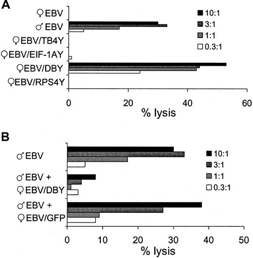 Fig. 1. Specific lysis of DBY-transduced female EBV target cells by the HLA-DQ5 HY CTL. / Target cells were added to the HLA-DQ5 HY CTL at indicated effector-target ratios, and 51Cr release was measured after 4 hours. (A) Lysis of male EBV and DBY-transduced female EBV cells by the HLA-DQ5 HY CTL. (B) Lysis of male EBV cells could be blocked by a 10-fold excess of unlabeled DBY-transduced female EBV cells, whereas unlabeled EBV cells transduced with the control vector containing the GFP did not affect the CTL-induced lysis of male EBV cells.