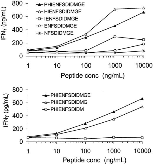 Fig. 4. Characterization of the 12-mer peptide HIENFSDIDMGE as the minimal peptide sequence leading to maximal recognition by the HLA-DQ5 HY CTL. / Irradiated HLA-DQ5 female EBV cells were incubated with various concentrations (conc) of the indicated peptides for 2 hours. After washing, HLA-DQ5 HY CTLs were added; 16 hours later, supernatant was harvested and IFN-γ content was measured. Recognition considerably decreased after removal of the histidine residue on position 2, and further removal of N-terminal amino acids resulted in a further reduction of IFN-γ release by HLA-DQ5 HY CTL. Trimming of the C-terminal glutamic acid residue led to a slightly diminished recognition, while removal of the glycine residue completely abolished IFN-γ release by HLA-DQ5 HY CTL.
