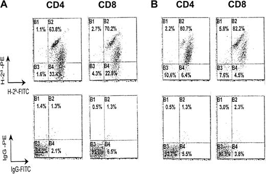 Fig. 7. Reduced in vivo expression of donor T cells depleted from host reactivity by AICD. / Shown by flow cytometry analysis is a very low expansion of allogeneic CD4+ or CD8+ T cells (H-2k) depleted of alloreactive responders (B) in contrast to significantly increased populations of untreated allogeneic donor CD4+and CD8+ T cells (A) in F1 hosts 10 days after transfer. Monitoring the expansion of donor-derived T cells was performed on CD4+ and CD8+ T cells isolated from spleen and lymph node suspension by immunomagnetic separation and stained for H-2kk and H-2Dd to discriminate single-positive donor-derived (H-2k) T cells from F1-specific (H-2kxd) Tlymphocytes.