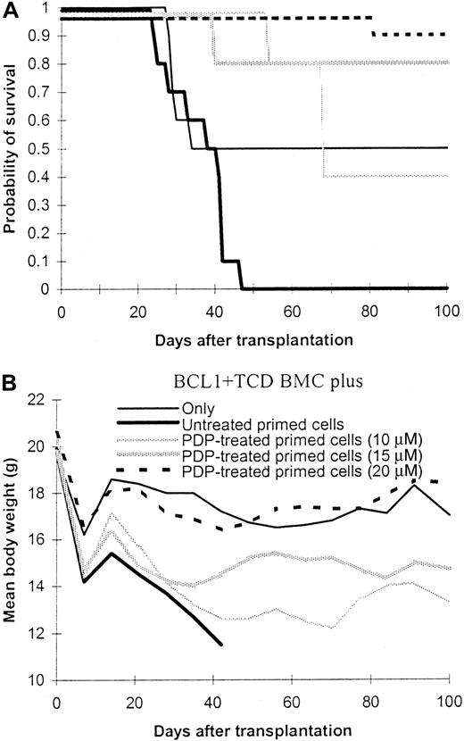 Fig. 3. Effect of photodynamic cell purging process on graft-versus-host and graft-versus-leukemia effect. / Spleen cells from C57BL/6 mice were first primed with BALB/c spleen cells in a 5-day mixed lymphocyte culture. The primed cells were then treated with photodynamic cell purging process. After treatment, 5 million primed cells together with 1 × 107T-cell–depleted bone marrow cells from C57BL/6 mice were infused into lethally irradiated BALB/c mice (same party, 8.5 Gy) which were previously inoculated with BCL1 cells. The data were pooled from 2 independent experiments. Each group contained 5 to 10 animals. (A) Survival. (B) Body weight.