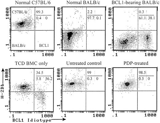 Fig. 4. Flow cytometric analyses of chimerism and BCL1 tumor cells in the recipients of PDP-treated (20 μM) primed cells. / Peripheral blood samples taken 30 days after transplantation or treatment were analyzed by flow cytometry. All histograms were gated on white cells based on forward and side scatters. Representative histograms from each group are shown.