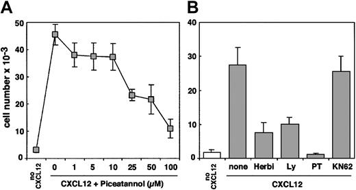 Fig. 2. CXCL12-induced T-cell transendothelial migration is blocked by the ZAP-70 inhibitor piceatannol. / (A) Jurkat cells were preincubated with the indicated concentrations of piceatannol for 3 hours at 37°C and then were added to the upper well of a Transwell chamber. Medium alone or medium plus CXCL12 (100 ng/mL) was added to the lower chamber. Transendothelial migration and quantification of cell migration were performed as above. (B) Jurkat cells were left untreated (control) or were preincubated with the PTK inhibitor herbimycin A (10 μM), the PI3 kinase inhibitor Ly294002 (20 μM), the G-protein inhibitor pertussis toxin (10 ng/mL), or the calmodulin inhibitor KN62 (40 μM) for 3 hours at 37°C. Transendothelial migration and quantification of cell migration was performed as in panel A.