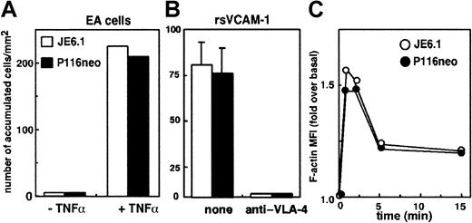 Fig. 3. ZAP-70 is not involved in T-cell arrest on inflammatory endothelium or in CXCL12-induced actin polymerization. / (A) Jurkat and P116 cells were labeled with different fluorescent dyes, washed, mixed, and perfused through a flow chamber at a flow rate of 40 mL/h on the monolayer of endothelial cells previously activated by TNF-α for 18 hours or left untreated. T-cell arrest was quantified by measuring the total number of firmly adherent cells arrested on 6 independent fields chosen at random. (B) A similar experiment was performed on chambers coated with recombinant soluble VCAM-1 (rsVCAM-1) with Jurkat and P116 cells that were previously incubated with a blocking anti–VLA-4 mAb or were left untreated. (C) Jurkat and P116 cells were incubated for the indicated times with CXCL12 (50 ng/mL). Cells were then fixed and permeabilized in the presence of 0.05% saponin, and FITC–phalloidin was added for 30 minutes before the final wash. Cells were then analyzed by flow cytometry. Results are expressed as the ratio of the mean fluorescence intensity (MFI) of stimulated cells to the MFI of unstimulated cells.