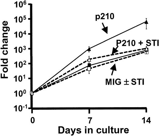 Fig. 1. p210-transduced CD34+ CB cells expand more rapidly than MIG-transduced cells and this is normalized when STI571 is present. / Total viable (trypan blue-excluding) cells were measured at the times shown in serum-free cultures initiated with 1 to 5 × 104p210-transduced (triangles) or MIG-transduced (squares) (GFP+) CD34+ CB cells and containing FL, SF, IL-3, IL-6, and G-CSF either with (open symbols) or without (solid symbols) 0.25 μmol STI 571. Results are from 3 experiments.