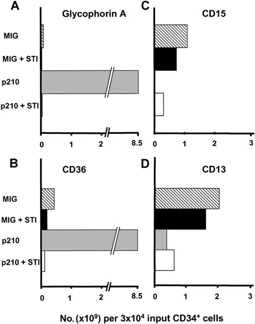 Fig. 5. Transduction of p210 causes an STI571-dependent increase in the absolute output of erythroid cells and a decrease in the absolute output of myeloid cells. / An increased number of cells expressing erythroid markers (glycophorin A, panel A; CD36, panel B) and a decreased number of cells expressing markers of myeloid cells (CD15, panel C; CD13, panel D) were produced from the p210-transduced (GFP+) CB cells after culturing them for 2 weeks as described in Figure 1 and these were largely normalized in the presence of 0.25 μmol STI571. STI 571 had little or no effect on the differentiation of MIG-transduced (GFP+) cells. Results shown are from a representative experiment (of 4 with no STI571 and another 2 with and without STI571).