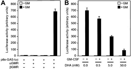 Fig. 5. Vitamin C inhibits Stat5 transcriptional activation mediated by GM-CSF. / (A) 293T cells transfected with either the reporter construct p8xGAS-luc or cotransfected with plasmids containing the cDNAs for αGMR and/or βGMR were incubated for 5 hours with 1 nM GM-CSF (closed bars) or buffer (open bars), and luciferase activity was measured in cell lysates. (B) 293T cells cotransfected with plasmids encoding the cDNAs for αGMR, βGMR, and the reporter construct p8xGAS-luc were incubated for 30 minutes with increasing concentrations of DHA. Transfectants were incubated for 5 hours with 1 nM GM-CSF (closed bars) or no additions (open bars), and luciferase activity was measured in cell lysates. Bars represent the average values of triplicate determinations ± SD.
