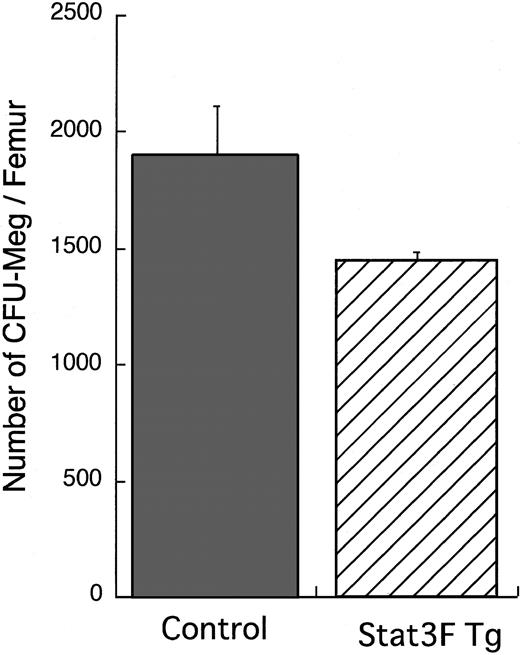Fig. 4. Megakaryocytic progenitor assay. / Bone marrow cells (1 × 105) were cultured with MegaCult-C media in the presence of 10 ng/mL IL-3, 20 ng/mL IL-6, and 50 ng/mL TPO according to the instruction manual. After 7-day culture, the colonies formed were stained with AChE. Results represent the mean (±SD) number of CFU-Meg colonies per femur in 2 independent experiments.