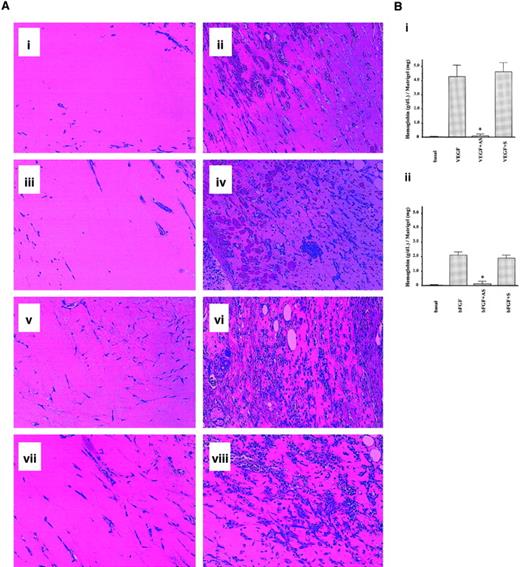 Fig. 9. Role of mPILSAP in angiogenesis in vivo. / The mPILSAP is required for angiogenesis in vivo. (A) Mouse angiogenesis assay and histological analysis were performed as described in “Materials and methods.” (i) Matrigel alone. (ii) Matrigel containing VEGF and heparin. (iii) Matrigel containing VEGF, heparin, and AS-ODN. (iv) Matrigel containing VEGF, heparin, and S-ODN. (v) Matrigel alone. (vi) Matrigel containing bFGF. (vii) Matrigel containing bFGF and AS-ODN. (viii) Matrigel containing bFGF and S-ODN (×200 magnification). (B) Quantification of angiogenesis was performed as described in “Materials and methods.” Values are means and SDs of 4 animals from each group. *Significant difference compared with the value for the corresponding Matrigel containing VEGF (panel Bi) and bFGF (panel Bii) (P < .001). Hematoxylin-eosin staining was used.