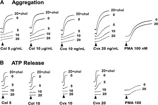 Fig. 1. Collagen- or Cvx-induced platelet aggregation is inhibited by pretreatment with MβCD. / (A, B) Platelets were pre-incubated with the indicated concentration (0, 5, 10, or 20 mM) of MβCD or 20 mM MβCD preloaded with cholesterol (20 + chol) for 30 minutes, washed once, then resuspended in HEPES buffer. Aggregation and ATP release were monitored using lumi-aggregometer on the stimulation of collagen (Col; 5 or 10 μg/mL), Cvx (10 or 20 ng/mL), or PMA (100 nM).
