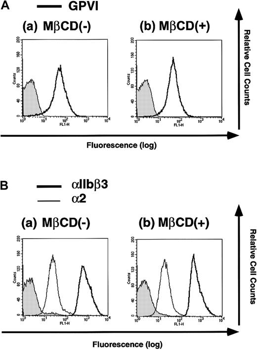 Fig. 3. Flow cytometry analysis of platelets treated with or without MβCD for surface GPVI and the integrins αIIbβ3 and α2. / Platelets were incubated with 0 (−) or 20 mM (+)MβCD for 30 minutes, washed once, and resuspended in HEPES buffer. (A) Cells were stained with F(ab′)2 fragments of human anti-GPVI IgG or those of control IgG followed by FITC-labeled antihuman IgG antibody and were analyzed by flow cytometry. (B) Cells were stained with anti-αIIbβ3 antibody (P2), anti-α2 antibody (Gi9), or mouse IgG1 as a negative control followed by FITC-labeled antimouse IgG antibody and were analyzed by flow cytometry.