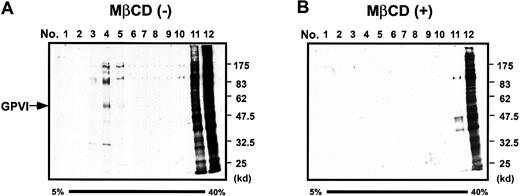 Fig. 6. Comparison of the localization of GPVI with that of other membrane proteins within the sucrose density gradients. / Platelets, whose surface membrane proteins were biotinylated, were preincubated without (A) or with (B) 20 mM MβCD for 30 minutes, washed once, and lysed in Triton X-100–containing buffer. Whole lysate was separated into 12 fractions (1-12) by sucrose density (5%-40%) ultracentrifugation. An equal volume of gradient fractions was separated by SDS-PAGE and was blotted with biotinylated anti-GPVI antibody using the streptavidin–HRP/ECL system. Arrow indicates the position of GPVI.