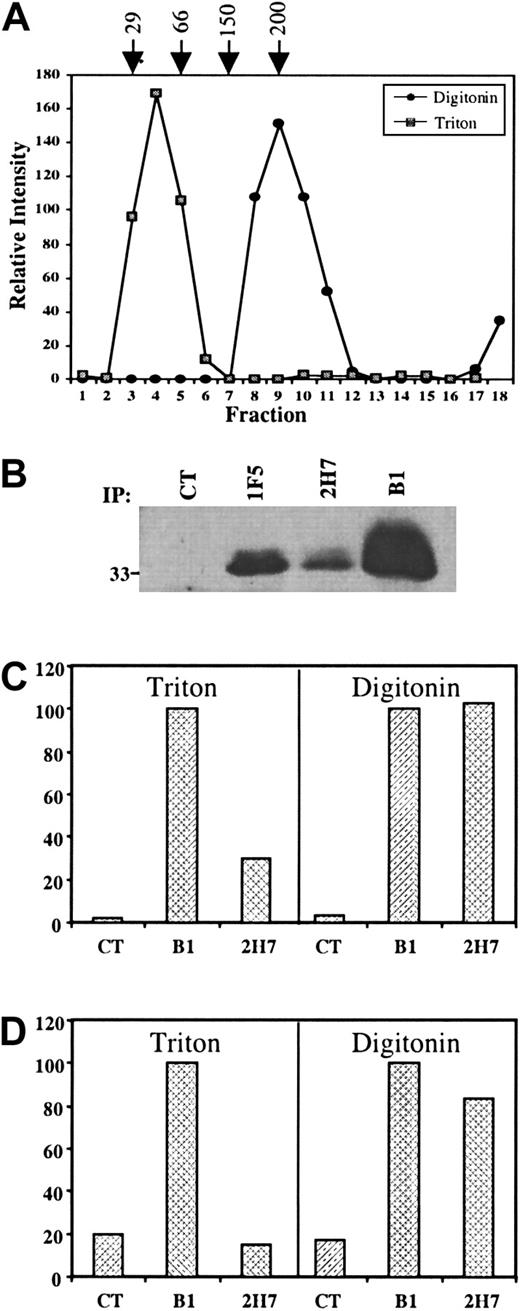Fig. 3. Differential sensitivity of CD20 epitopes to detergent lysis. / (A) Raji B cells were lysed in either 1% Triton X-100 or 1% digitonin and cleared lysates were layered on top of 5% to 40% linear sucrose density gradients and centrifuged to equilibrium. Fractions were collected from the top of the gradient and probed by immunoblot using a polyclonal antibody raised against a cytoplasmic CD20 peptide (anti-CD20N). Densitometry analysis was performed and the results plotted to generate the graphs shown. Molecular weight standards were run in parallel samples (arrows). (B) Immunoprecipitation of CD20 by mAbs 1F5, 2H7, and B1 from Raji B cells lysed in 1% Triton X-100. The mAbs were added to cleared (13 000g) lysates as indicated to immunoprecipitate CD20. Samples were analyzed by anti-CD20N immunoblot. (C) Immunoprecipitation of CD20 by mAbs 2H7 and B1 from Raji B cells lysed in either 1% Triton X-100 or in 1% digitonin. The mAbs were added to cleared (13 000g) lysates as indicated. Anti-CD20N immunoblots were analyzed by densitometry and the relative density of the CD20 bands was expressed as the percent of the amount precipitated by B1. (D) As in panel C, except that the lysates were cleared at 100 000g for 1 hour. Note the loss of 2H7-precipitable CD20 from Triton lysates.