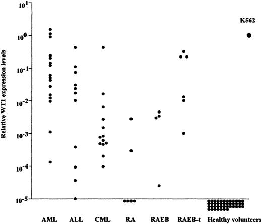 Fig. 3. WT1 expression levels in PBMCs from patients with hematopoietic malignancies. / WT1 expression level in K562 leukemic cells was defined as 1.0 and the WT1 expression level in the sample was relatively shown compared to that in K562 cells. WT1 expression levels were measured in 56 of 73 patients.