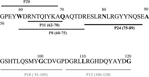 Fig. 1. Sequence alignment of the synthetic HLA-B7–derived peptides. / Peptides covering residues 56 to 120 were synthesized using the FMOC technology.