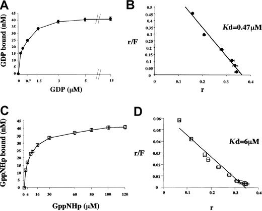 Fig. 6. Determination of the hIAN1 affinity for GDP and GppNHp. / First, 60 nM GST-hIAN1 protein was incubated for 120 minutes at 25°C with various concentrations of GDP (0.175, 0.3, 0.7, 1.5, 3, 5, and 15 μM) or GppNHp (2, 4, 8, 10, 16, 30, 60, 80, 100, and 120 μM); then, the amounts of bound nucleotide were determined by filter-binding assays. All measures were performed in triplicate. Panels A and C show the concentration-dependent binding of GDP (panel A) and GppNHp (panel C) to GST-hIAN1. Scatchard representations are shown in panel B (GDP) and panel D (GppNHp). r indicates bound nucleotide/total protein (pmoles); F is the concentration of free nucleotide (micromolar).