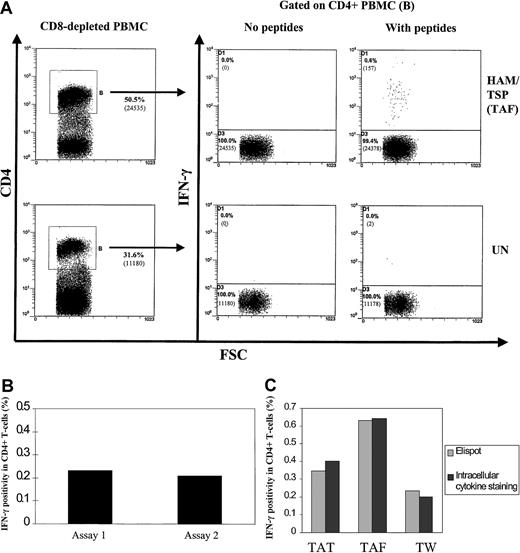 Fig. 1. Detection of HTLV-1–specific CD4+ T cells by in vitro activation with Env and Tax peptides. / (A) Dot plots showing intracellular cytokine staining for IFN-γ production in CD4+ T cells from a patient with HAM/TSP (TAF) and an uninfected control (UN). PBMCs were depleted of CD8+ T cells, cultivated with Env and Tax peptides for 6 hours in vitro, then harvested and stained. One representative experiment from 3 patients with HAM/TSP is shown. Numbers in brackets show actual numbers of events acquired. (B) Comparison of HTLV-1–specific CD4+ T-cell frequencies determined by independent Elispot assays at different time points from a single blood sample. One representative experiment from 3 patients with HAM/TSP is shown. IFN-γ SFCs were divided by the number of CD4+ T cells present in each well, then multiplied by 100 to provide the data shown. A response was defined as positive if the number of spots exceeded the mean + 2 SDs of the spot count in the negative control wells (no peptides added). (C) Comparison of HTLV-1–specific CD4+ T-cell frequencies determined by Elispot and intracellular cytokine staining from the same blood sample. Results from 3 patients with HAM/TSP (TAT, TAF, TW) are shown. IFN-γ SFCs are divided by the number of CD4+ T cells present in each well, then multiplied by 100 to provide the Elispot data shown. Flow cytometric data shown is derived from IFN-γ+, CD4+ T cells divided by the total number of CD4+ T cells present, then multiplied by 100.