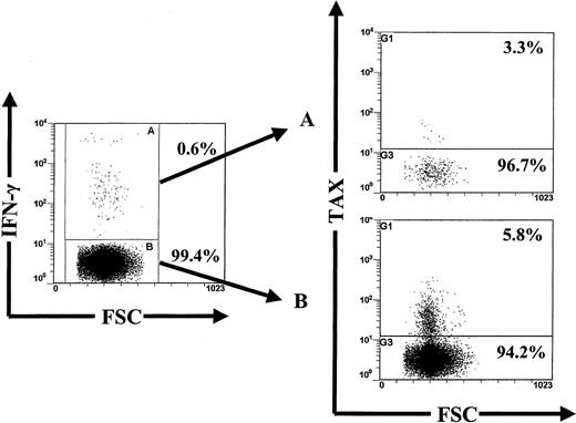 Fig. 6. The majority of HTLV-1 Env- and Tax-specific CD4+ T cells are not infected with HTLV-1. / This figure shows concomitant detection of intracellular Tax and IFN-γ expression in CD4+ T cells after 6 hours in vitro activation with peptides from a patient with HAM/TSP (TAF). Dot plots showed that the vast majority of Tax+cells came from the IFN-γ− fraction. This was representative of experiments on 5 different subjects; refer to Table 1.